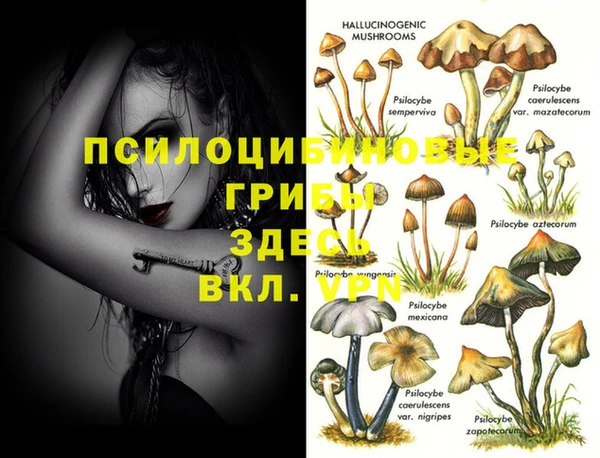 марки lsd Абинск