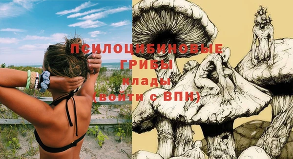 дживик Козловка