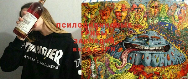 марки lsd Абинск