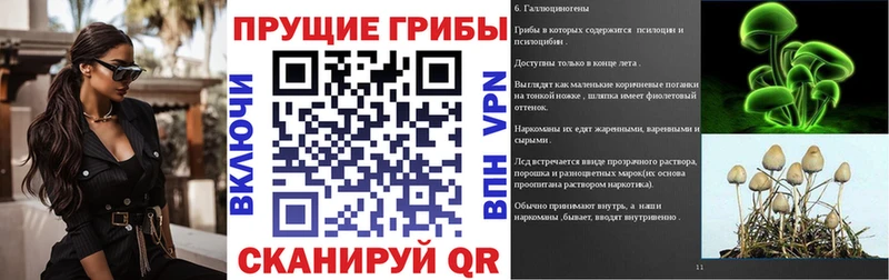 Псилоцибиновые грибы Psilocybe  Октябрьский 